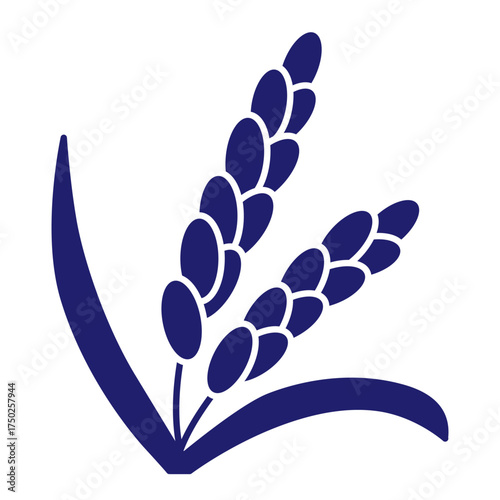 Cereals doodle illustration  icon - pearl millet, agriculture, wheat, barley, rice, maize, timothy grass, buckwheat, proso, sorghum. Thin line art about grain plants. Editable Stroke Wheat ear icon. l