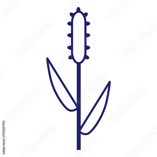 Cereals doodle illustration  icon - pearl millet, agriculture, wheat, barley, rice, maize, timothy grass, buckwheat, proso, sorghum. Thin line art about grain plants. Editable Stroke Wheat ear icon. l