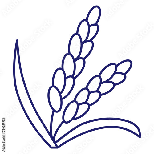 Cereals doodle illustration  icon - pearl millet, agriculture, wheat, barley, rice, maize, timothy grass, buckwheat, proso, sorghum. Thin line art about grain plants. Editable Stroke Wheat ear icon. l