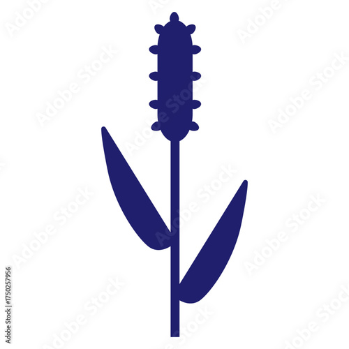 Cereals doodle illustration  icon - pearl millet, agriculture, wheat, barley, rice, maize, timothy grass, buckwheat, proso, sorghum. Thin line art about grain plants. Editable Stroke Wheat ear icon. l