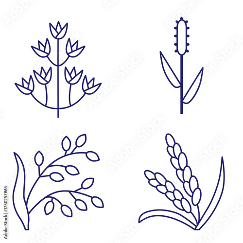 Cereals doodle illustration  icon - pearl millet, agriculture, wheat, barley, rice, maize, timothy grass, buckwheat, proso, sorghum. Thin line art about grain plants. Editable Stroke Wheat ear icon. l