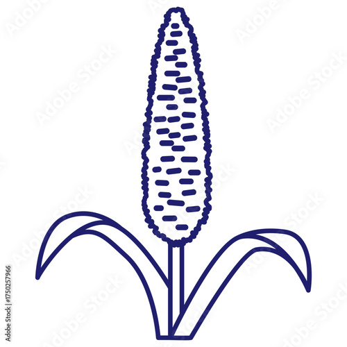 Cereals doodle illustration  icon - pearl millet, agriculture, wheat, barley, rice, maize, timothy grass, buckwheat, proso, sorghum. Thin line art about grain plants. Editable Stroke Wheat ear icon. l