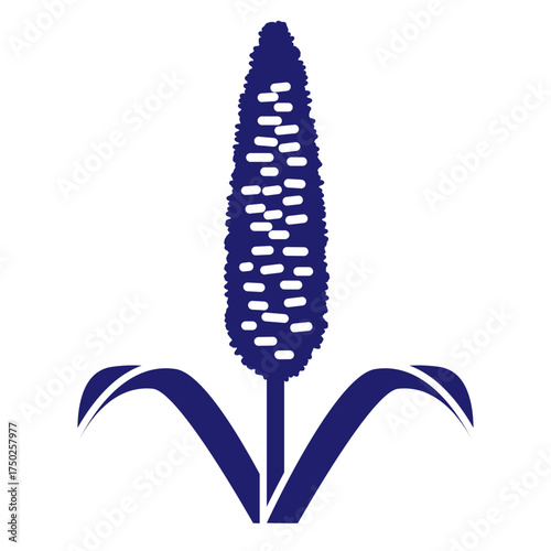 Cereals doodle illustration  icon - pearl millet, agriculture, wheat, barley, rice, maize, timothy grass, buckwheat, proso, sorghum. Thin line art about grain plants. Editable Stroke Wheat ear icon. l