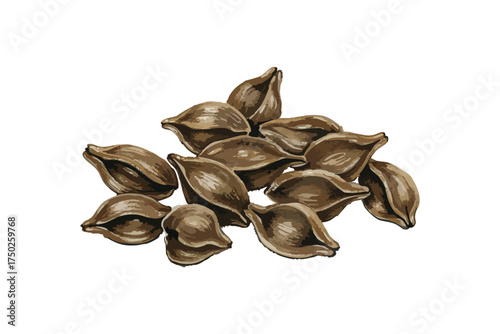 Pile of Buckwheat Seeds Illustration on Isolated White Background