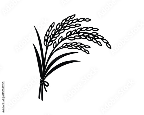Rice Bunch Ears Leaves Tied Outline Black White Isolated Background