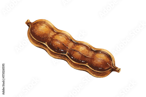 Tamarind Pod Brown Fruit Ingredient Culinary Isolated White