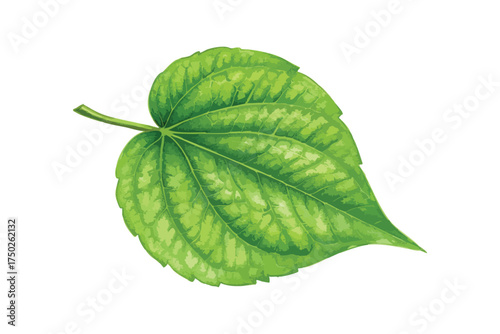 Vibrant Green Betel Leaf Watercolor Illustration Traditional Herb