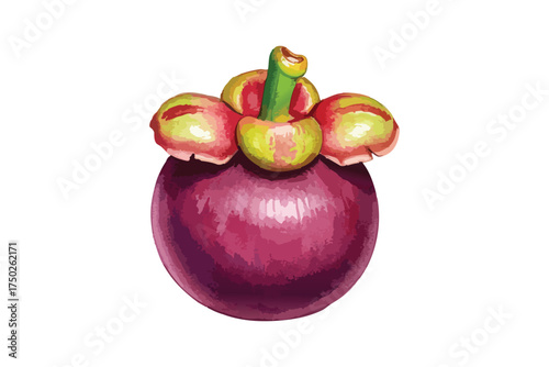 Vibrant Purple Mangosteen Fruit Green Calyx Watercolor Illustration