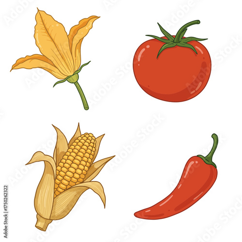 Corn, chili and tomato colorful autumn harvest vegetables illustration
