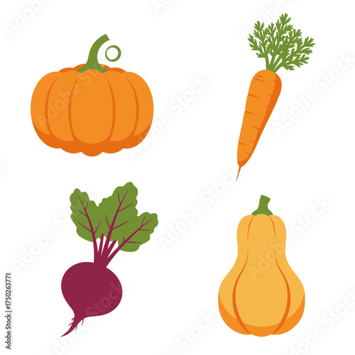 Pumpkin and carrot illustration for healthy vegetable harvest and autumn seasonal food design