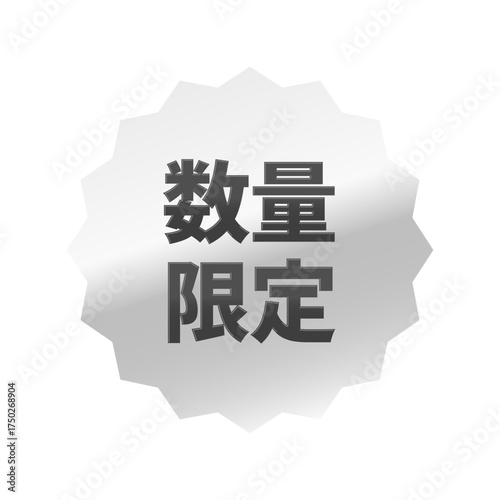 光沢のあるアイコン_数量限定_浅めのギザギザ型_SILVER