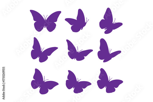 Flying butterflies silhouette black set isolated on white background. Flying butterflies set.