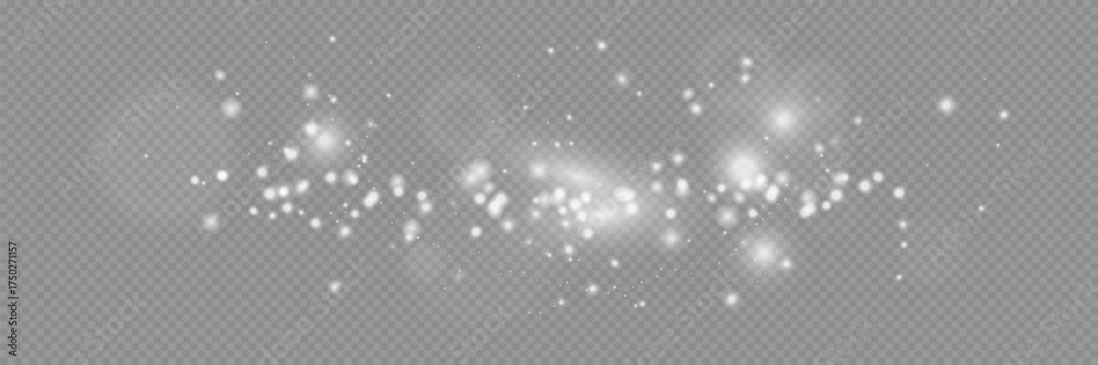 light effect. Vector illustration. Christmas flash. dust.
