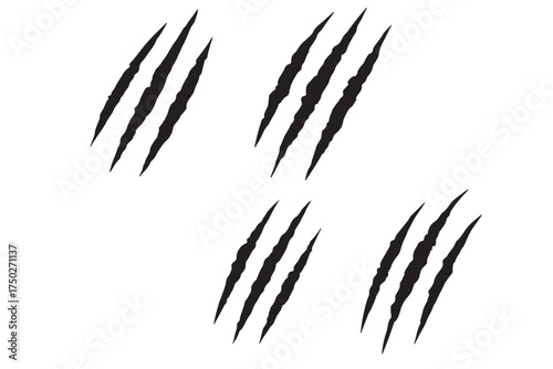 Animal Claw scratches mark set. Cat tiger scratches signs. Grange scratches. Wild animals concept. Set of claws isolated on White background.