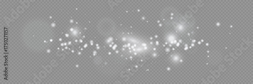 light effect. Vector illustration. Christmas flash. dust.