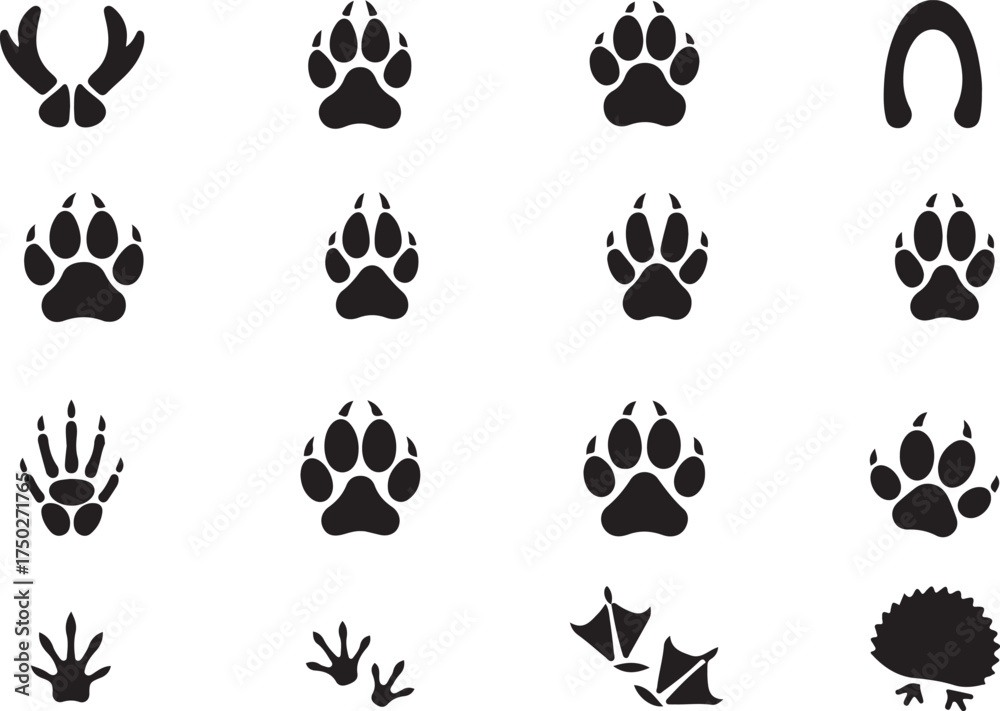 Fototapeta premium Footprints in the wild: A collection of diverse animal tracks, revealing the hidden paths and stories of the wilderness.