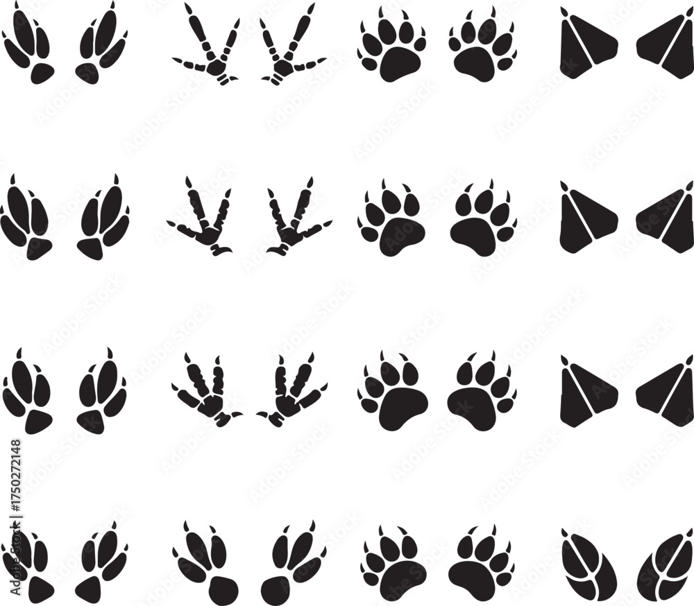 Fototapeta premium Diverse Animal Track Marks: A collection of animal track marks presents various footstep designs, representing diverse species. Featuring the unique prints left by various animals in nature.