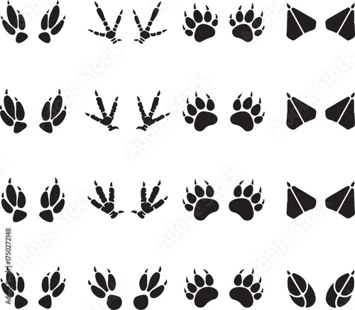 Diverse Animal Track Marks: A collection of animal track marks presents various footstep designs, representing diverse species. Featuring the unique prints left by various animals in nature. 