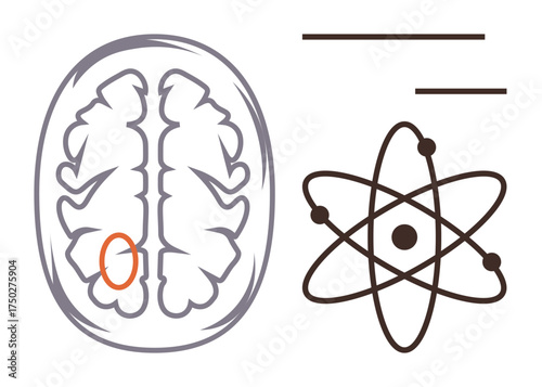Brain cross-section with orange-highlighted area beside atom and lines symbolizing learning, research, and ideas. Ideal for science, education, creativity, mind, innovation, analysis and psychology