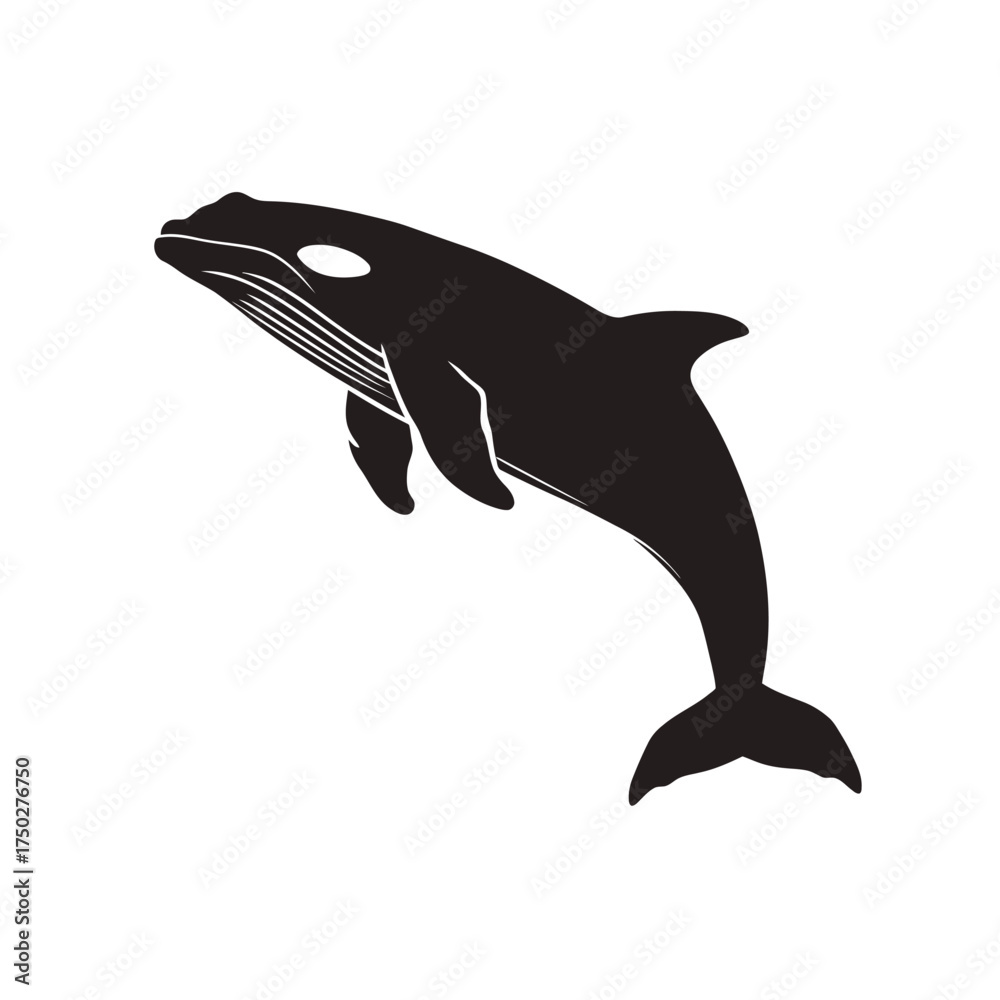 Fototapeta premium whale vector illustration