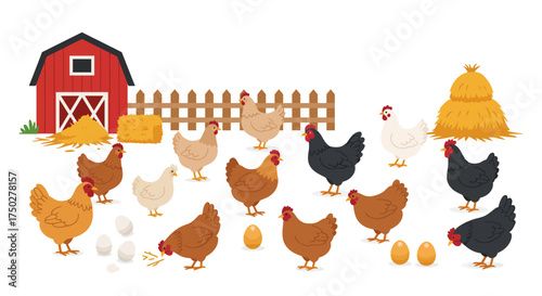 Various chickens and hens with eggs on a farm.