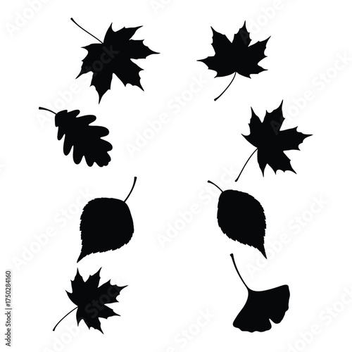 Silhouette collection of falling autumn leaves diverse shapes scattered gracefully for seasonal design elements and autumnal aesthetics silhouette