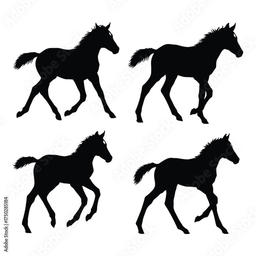 Four dynamic black silhouette foals in motion running galloping trotting playful equestrian animal wildlife nature farm livestock cute silhouette