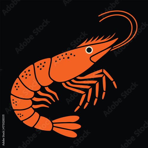 shrimp vector illustration