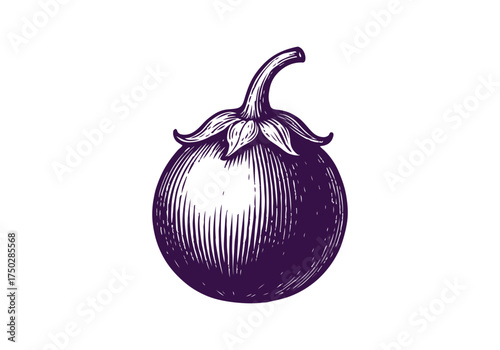 Eggplants hand drawn simple vector illustration
