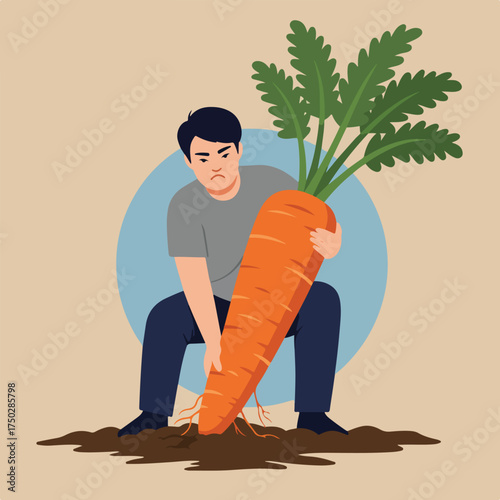 Man struggles to pull a giant carrot from the soil