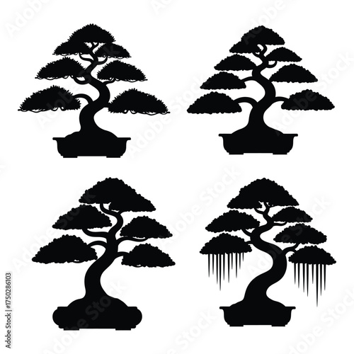 Silhouetted bonsai trees collection four distinct varieties decorative artistic plant designs for garden and home decor silhouette