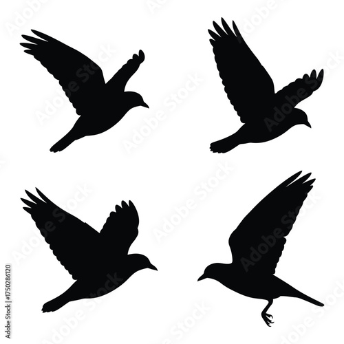 Four dynamic silhouettes of birds in flight capturing movement and freedom against a white canvas silhouette