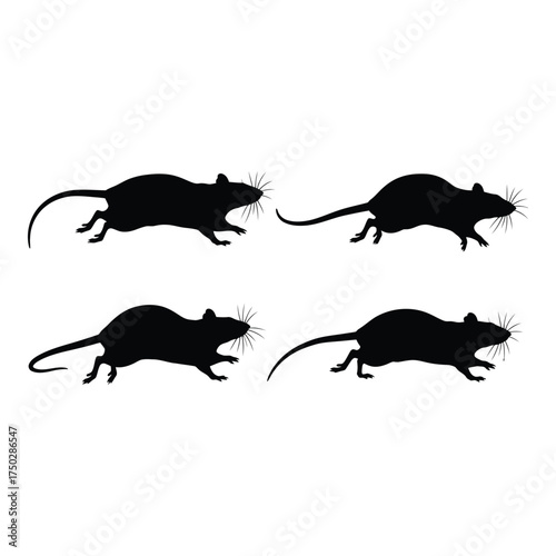 Dynamic silhouette collection four running rodents animal poses graphic design elements for wildlife nature themed projects silhouette