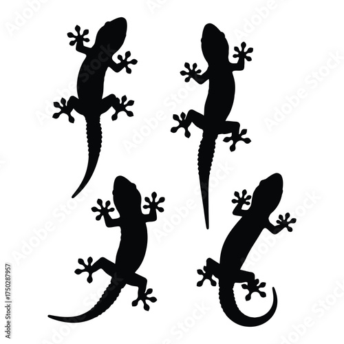 Set of four black gecko silhouettes reptile wildlife animal shapes for decorative or educational use silhouette