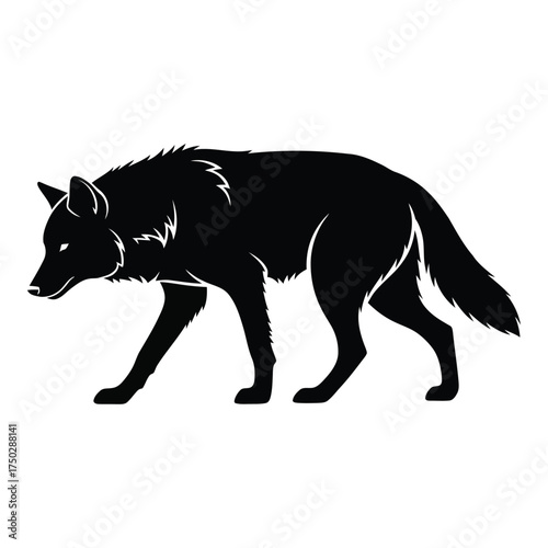 Dynamic silhouette of a powerful black wolf trotting confidently in naturalistic pose for wildlife design applications silhouette