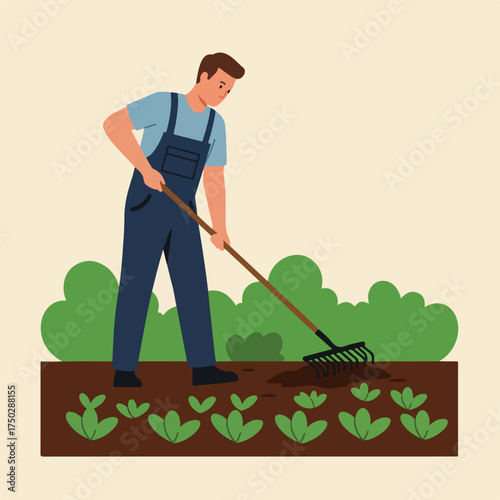 Man in overalls rakes soil in garden with young plants