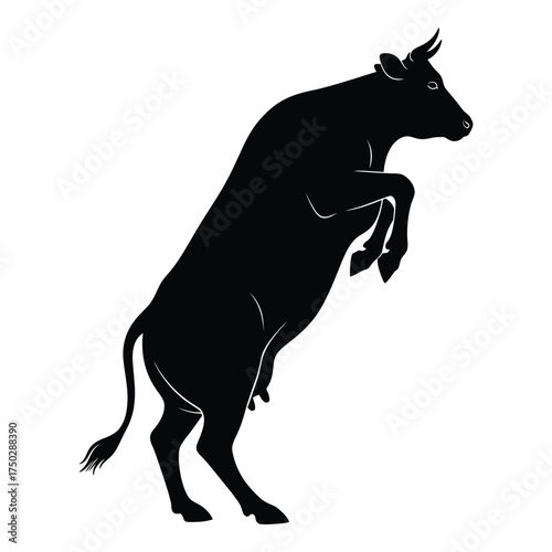 Powerful silhouette of a bull rearing up dynamic animal symbol of strength aggression and determination silhouette
