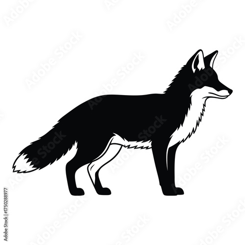 Striking black and white silhouette of a fox standing proudly in profile view capturing its elegant form silhouette