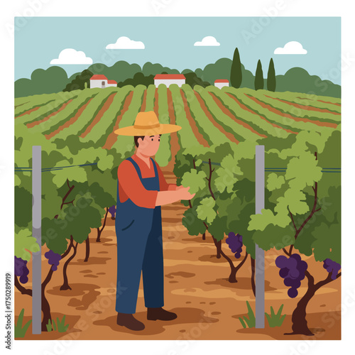 Farmer tending to ripe grapes in a vineyard with rolling hills and houses in background