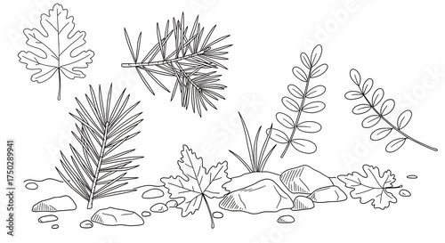 Simple outline illustration of diverse forest leaves and natural rocks on the ground creating a serene botanical design. AI Generated