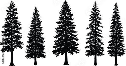 Black conifer tree silhouettes, evergreen pine forest shapes, isolated fir and spruce outlines, nature woodland design elements, vector illustration collection