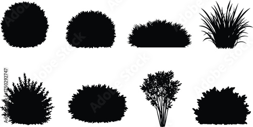 Bush and shrub silhouette collection, black vector artwork, garden plant design, nature foliage illustration, landscape element, organic botanical graphic