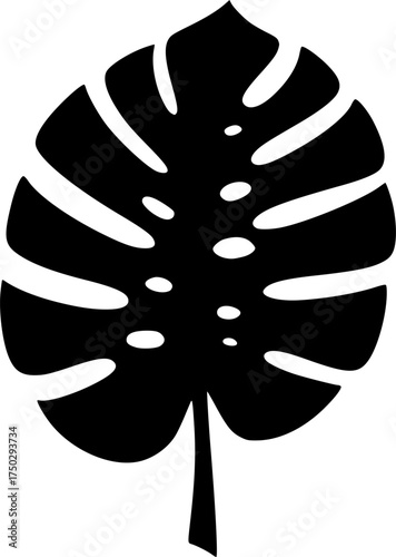 monstera leaf silhouette icon on transparent background for web and graphic design
