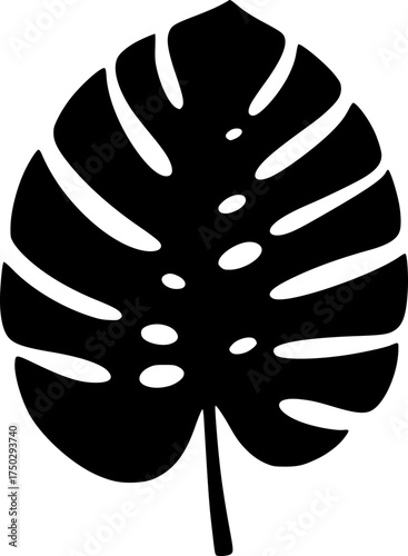 monstera leaf silhouette icon on transparent background for web and graphic design

