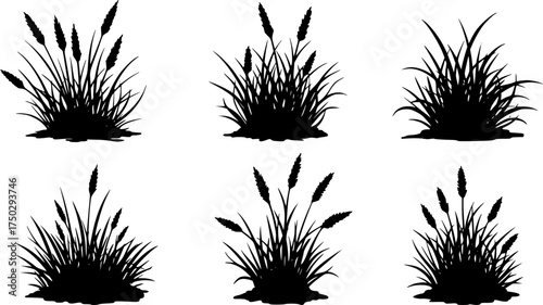 Six separate, stylized, black silhouette images of grass tufts against a white background.
