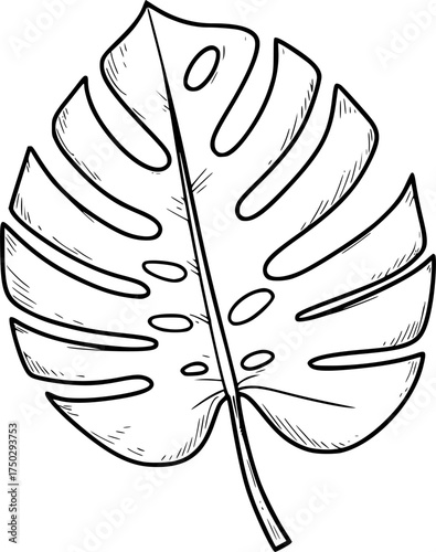 monstera leaf silhouette icon on transparent background for web and graphic design
