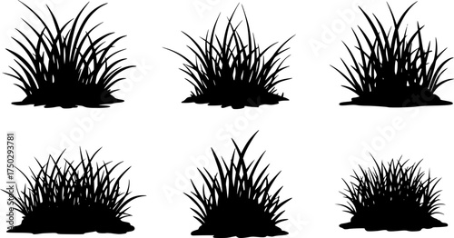 Six separate, stylized, black silhouette images of grass tufts against a white background.
