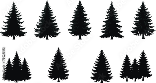Evergreen tree silhouette collection, conifer vector artwork, black forest design, winter landscape element, botanical illustration, nature graphic, outdoor plant