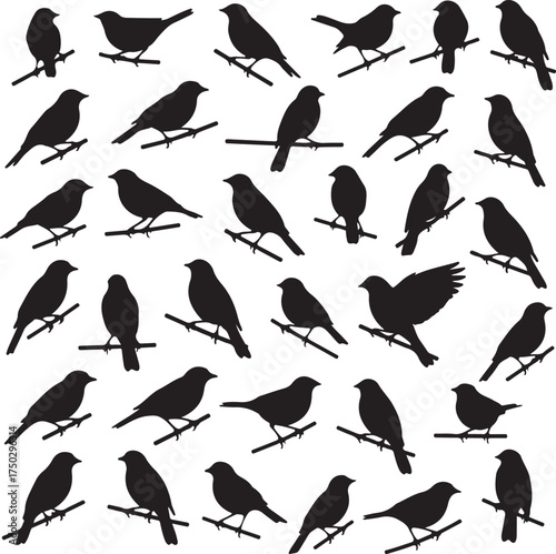 Avian Silhouette Symphony: A stunning montage of birds silhouetted against a neutral backdrop, elegantly perched on slender branches, creating a captivating visual tapestry of nature's grace.