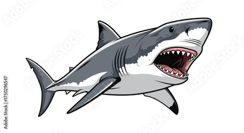 An aggressive great white shark with an open mouth and sharp teeth in a dynamic attacking pose, presented as a a clean cartoon vector illustration